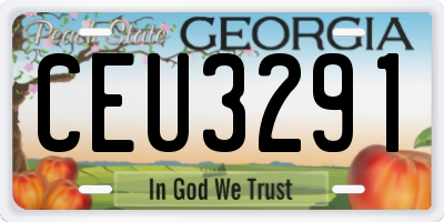 GA license plate CEU3291