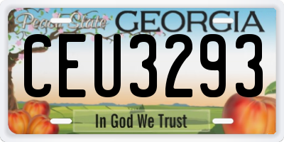 GA license plate CEU3293
