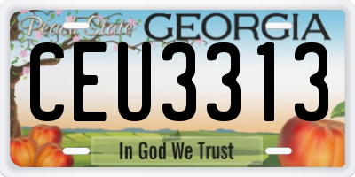 GA license plate CEU3313