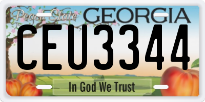 GA license plate CEU3344
