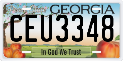 GA license plate CEU3348