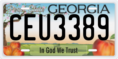 GA license plate CEU3389
