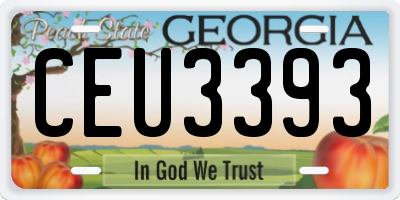 GA license plate CEU3393