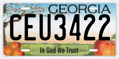 GA license plate CEU3422