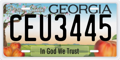 GA license plate CEU3445