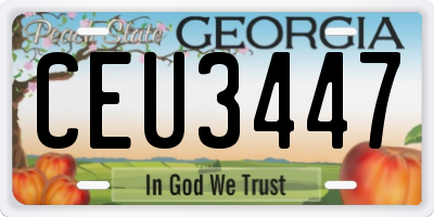 GA license plate CEU3447