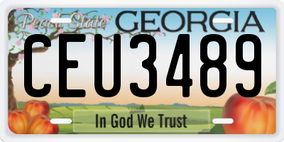 GA license plate CEU3489