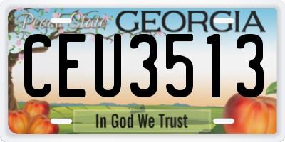 GA license plate CEU3513