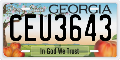 GA license plate CEU3643