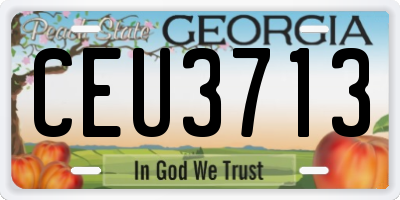 GA license plate CEU3713