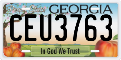 GA license plate CEU3763