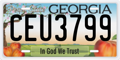 GA license plate CEU3799