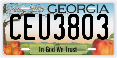 GA license plate CEU3803