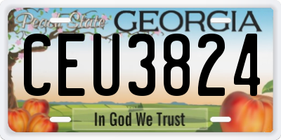 GA license plate CEU3824