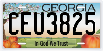 GA license plate CEU3825