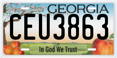 GA license plate CEU3863