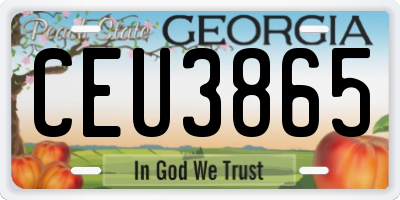 GA license plate CEU3865