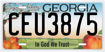 GA license plate CEU3875
