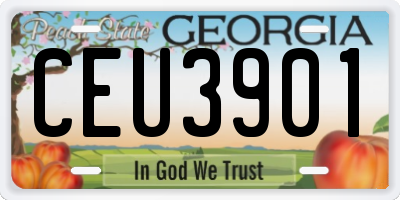 GA license plate CEU3901