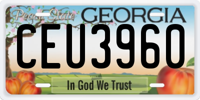 GA license plate CEU3960