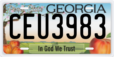 GA license plate CEU3983
