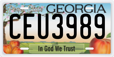 GA license plate CEU3989