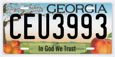 GA license plate CEU3993