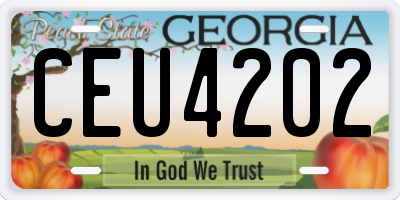 GA license plate CEU4202