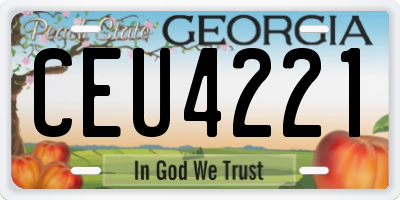 GA license plate CEU4221