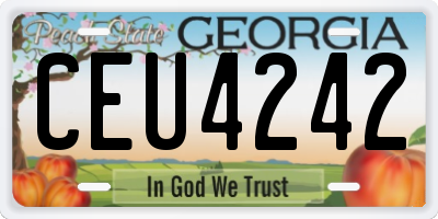 GA license plate CEU4242