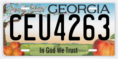 GA license plate CEU4263