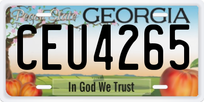 GA license plate CEU4265