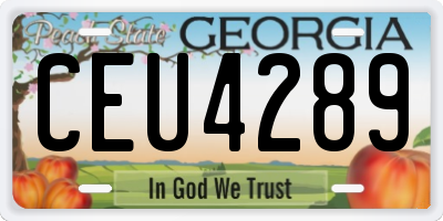 GA license plate CEU4289