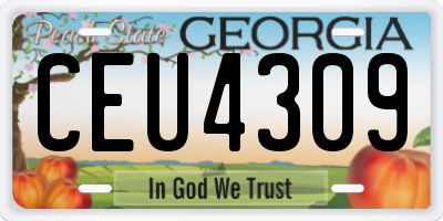 GA license plate CEU4309