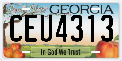 GA license plate CEU4313