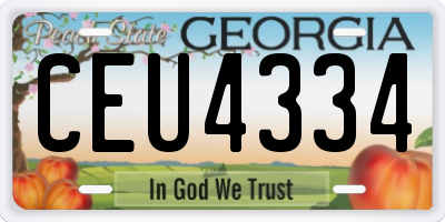 GA license plate CEU4334