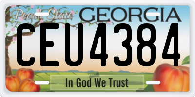 GA license plate CEU4384