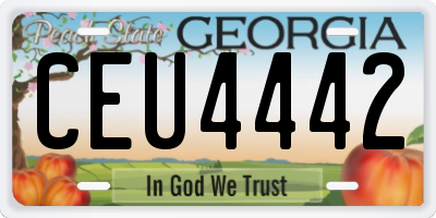 GA license plate CEU4442