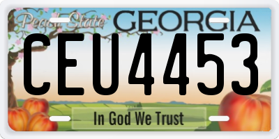GA license plate CEU4453