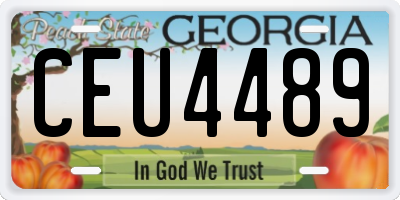 GA license plate CEU4489