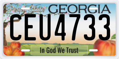 GA license plate CEU4733