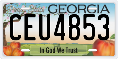 GA license plate CEU4853