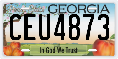 GA license plate CEU4873