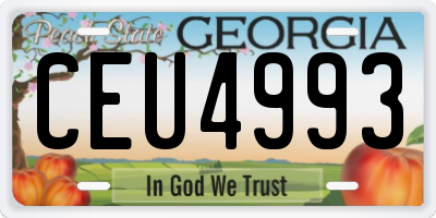 GA license plate CEU4993