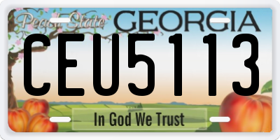 GA license plate CEU5113