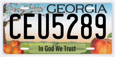 GA license plate CEU5289