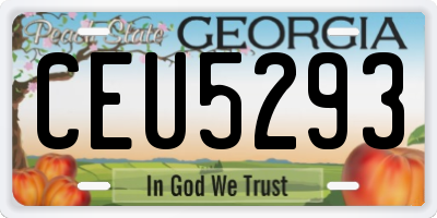 GA license plate CEU5293