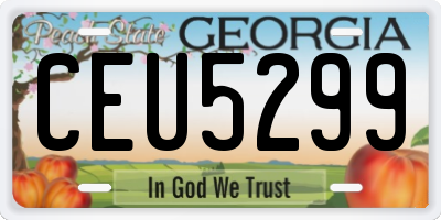 GA license plate CEU5299