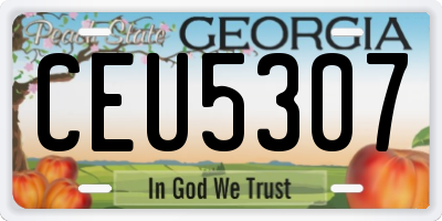 GA license plate CEU5307