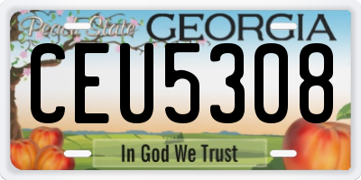 GA license plate CEU5308